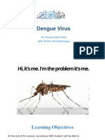 6 - Dengue Virus