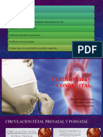 Cardiopatias Congenitas Acianotica