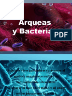 Arqueas y Bacterias