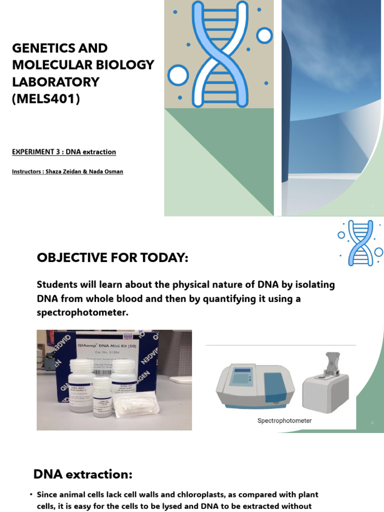 DNA Extraction PDF Protein Purification Polymerase Chain Reaction