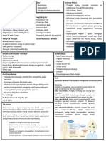Review Sheet DK 6 Skizofrenia Paranoid PDF