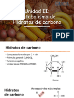 Unidad II. Metabolismo de H de C. Luciana