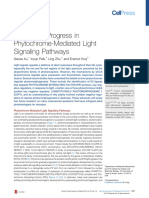Illuminating Progress in Phytochrome Mediated Ligh