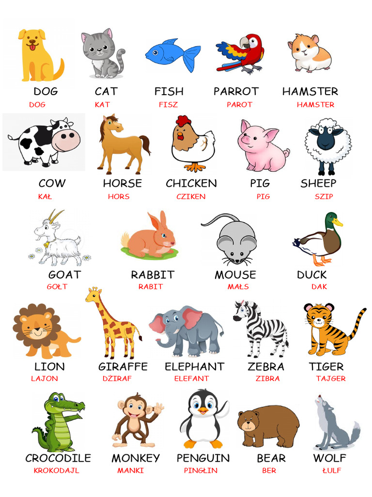 Animals Words | PDF