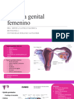 Sistema Genital Femenino