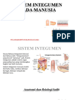 Sistem Integumen-1