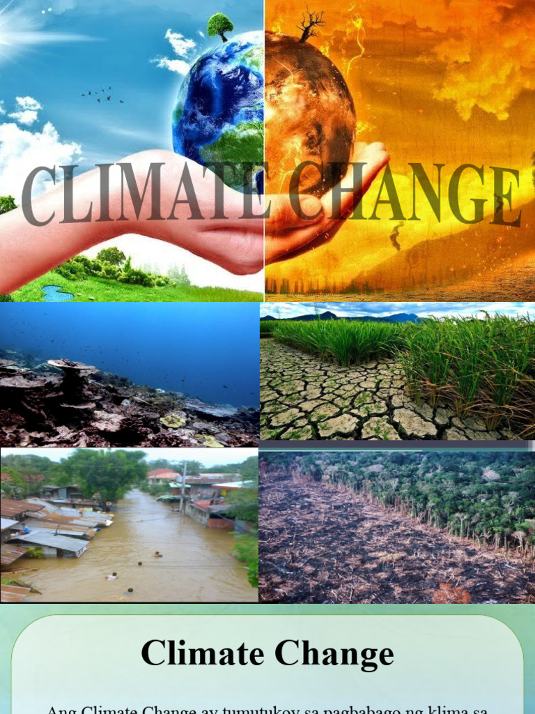 Climate Change | PDF