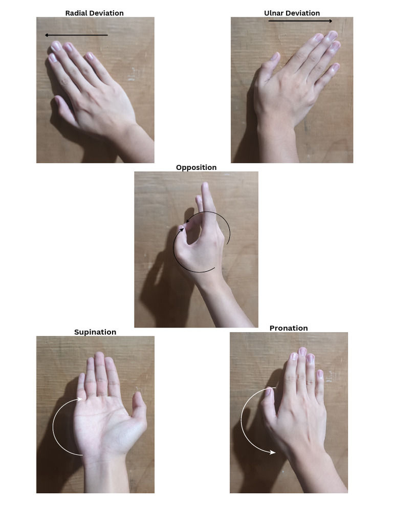 Understanding Wrist Movements | PDF
