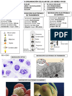 UD6 La Organizaciã N Celular de Los Seres Vivos 22-23 2