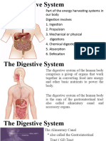Project Free Digestive System