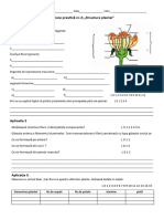 Lucrare Practica NR 2 Structura Plantei Cl8