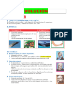 Formas y Teorías Sobre La Evolución para Segundo Grado de Secundaria