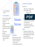  Estrutura e Função Humana - Sistema Nervoso