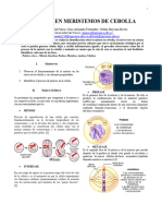 Practica 7 Mitosis de La Cebolla