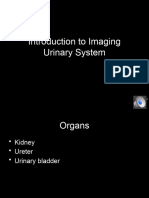 L. Genitourinary Imaging