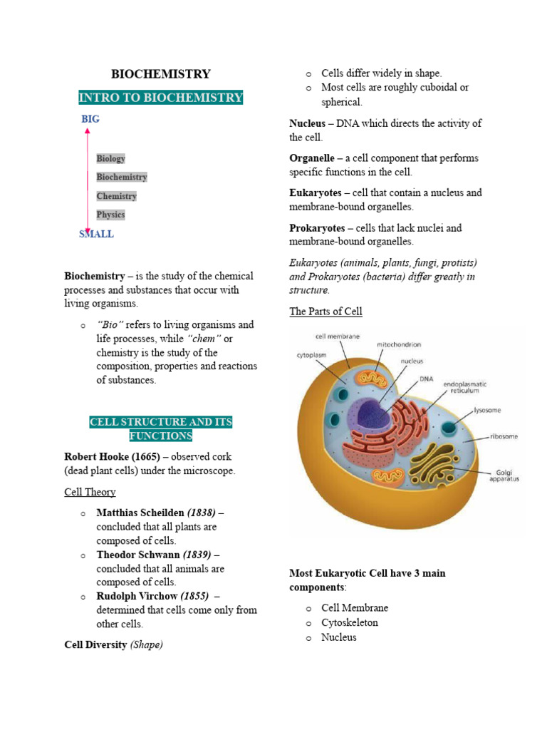 Introduction to Biochemistry and Cell Structure | PDF | Cell (Biology ...