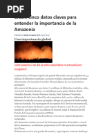 Brasil y La Amazonia