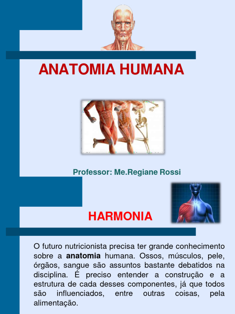 Aula 1 Anatomia Pdf Corpo Humano Anatomia