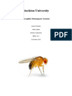 Fly Lab Genetics
