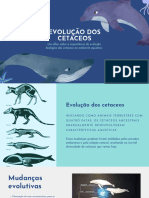 Evolução Dos Cetáceos - 20230920 - 004422 - 0000