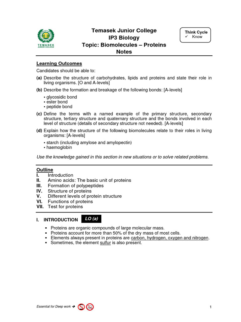 Biomolecules Proteins Pdf Proteins Protein Structure