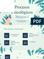 Procesos Psicológicos Básicos