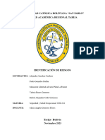 Identificación de Riesgos Trabajo Final