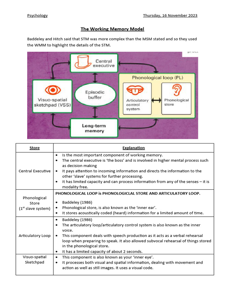 The Working Memory Model AQA Psychology | PDF | Working Memory ...