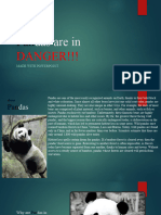 Pandas Are in DANGER!!!