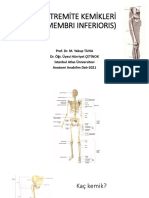 Alt Ekstremi̇te Kemi̇kleri̇-İaütf-2021