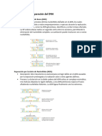 Mecanismos de Reparación Del DNA