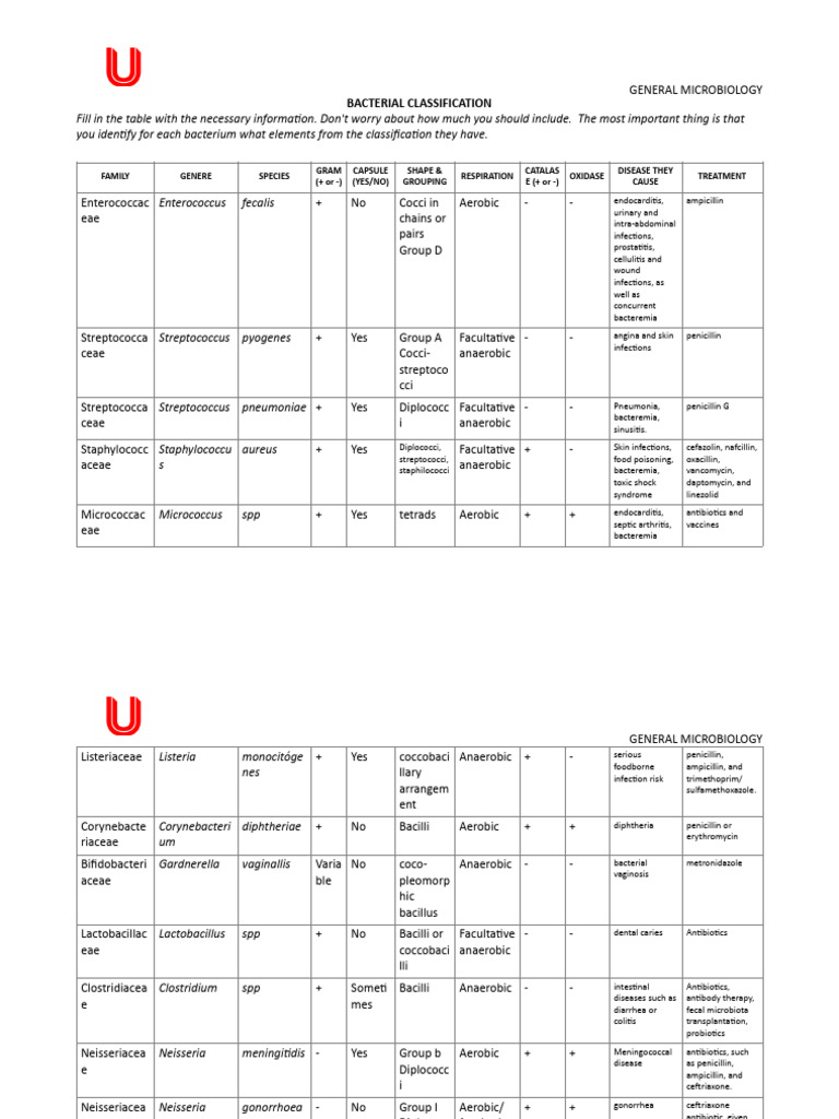 Bacterial Classification and Diseases | PDF | Streptococcus ...
