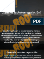 ¿Que Es La Autorregulacion?