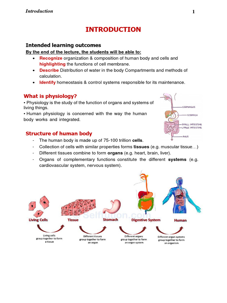 L1-Introduction To Human Physiology-2 | PDF | Homeostasis | Lipid Bilayer