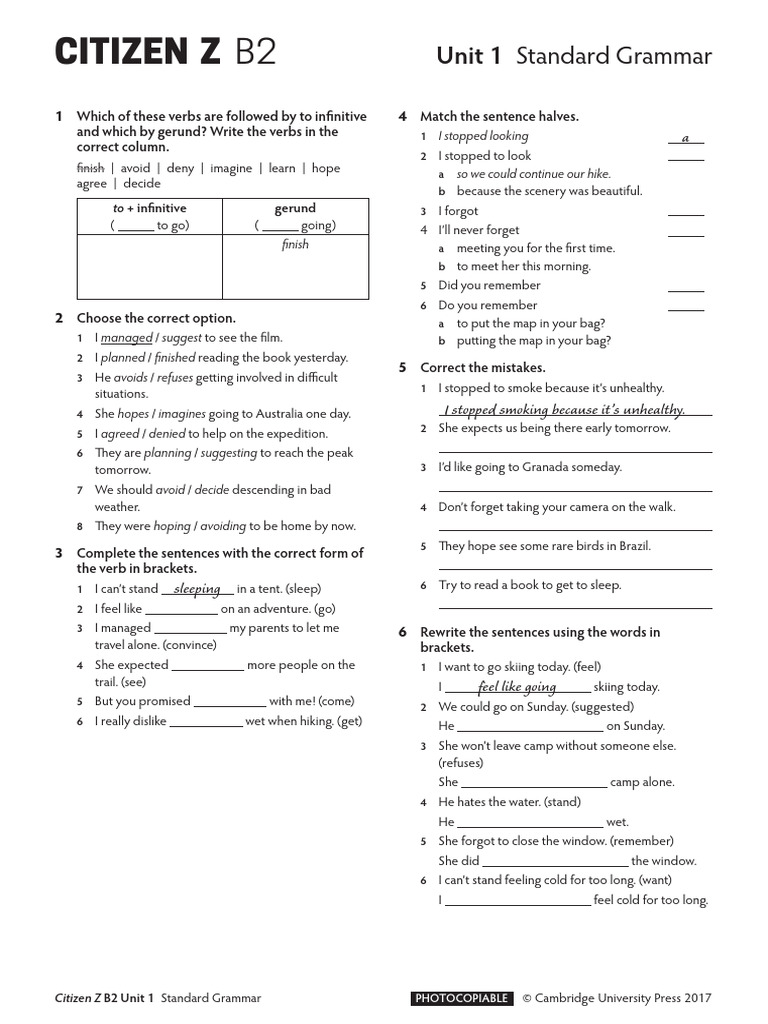 Grammar Standard Unit 01 Pdf Languages Foreign Language Studies