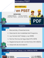 Sesión 02 Asesor en PSST - Diapositivas