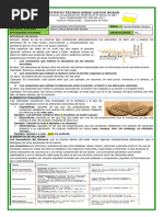 Taller 2 Marcadores Discursivos.