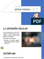 Clase 3 Mitosis y Meiosis