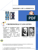 Clase - 6 - Teoría Cromosomica de La Herencia