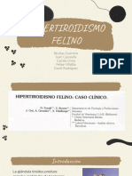 Hipertiroidismo Felino - Caso Clínico