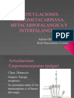 Articulaciones Carpometacarpiana, Metacarpofalangica Y Interfalangica