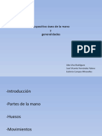 Dispositivo Óseo de La Mano y Generalidades: Alex Viso Rodríguez José Vicente Fernández Valero Eutimio Campos Miravalles