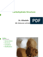 Carbohydrate Structure