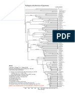 Zheng 2015 Squamate Phylogeny Modified