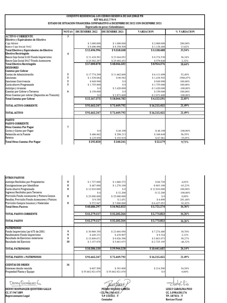 Estado de Situacion Financiera | Descargar gratis PDF | Dinero | Economias