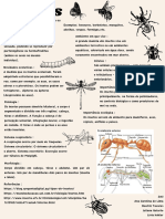 Processual Biologia - Card Insetos