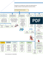 Construye Un Mapa Conceptual Con Los Diferentes Niveles de Organización de Los Seres Vivos