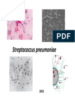 Clase 4 - STREP PNEUMONIAE 2018