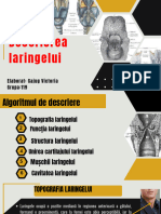 Descrierea Laringelui