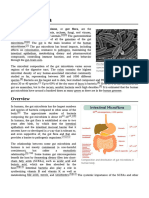 Gut Microbiota